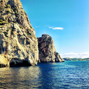 condor-eintagsfliegen-mallorca