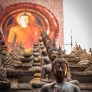 error fare nach sri lanka artikelbild im tempel